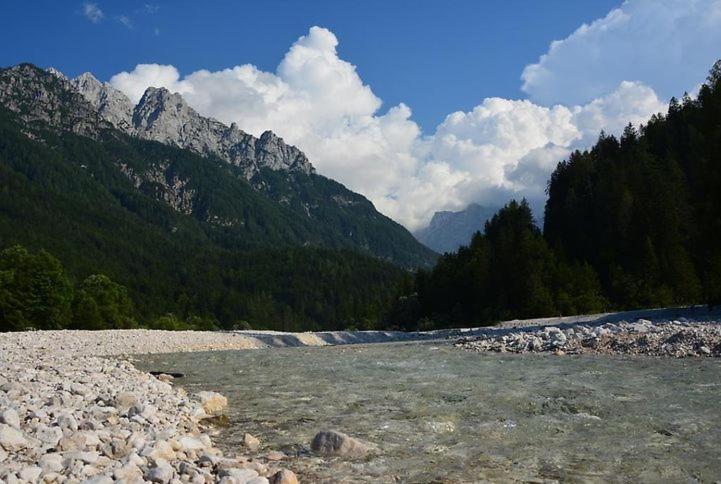 Rooms Barovc By The Lake Jasna Kranjska Gora Eksteriør bilde The river in the park